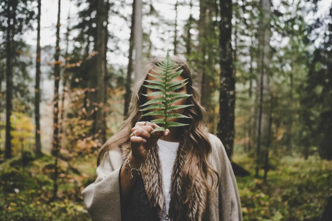 pexels lucasallmann 612891