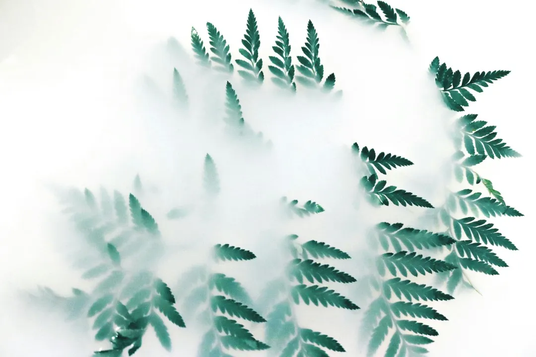 pexels mdsnmdsnmdsn 1405773
