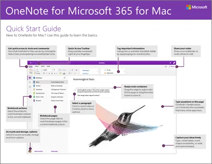 OneNoteMacQS