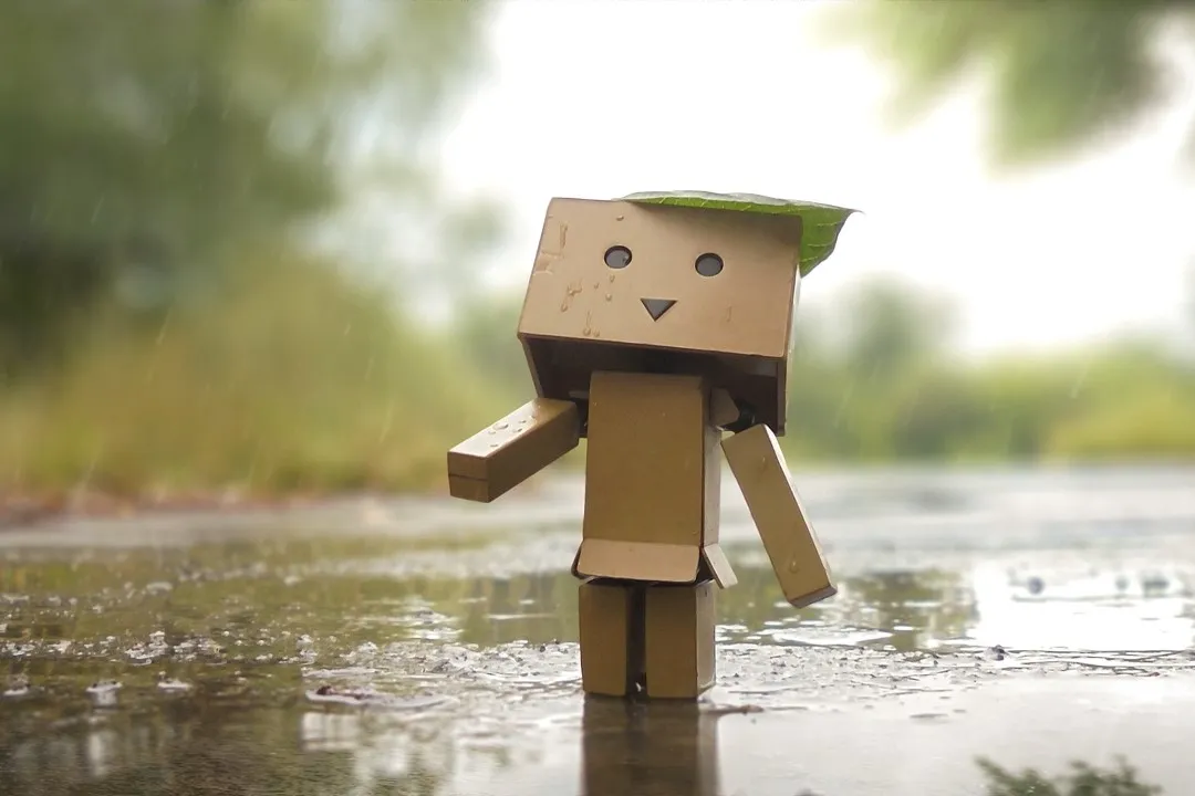 danbo 4326940 1920