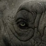 eye 1363161 1920