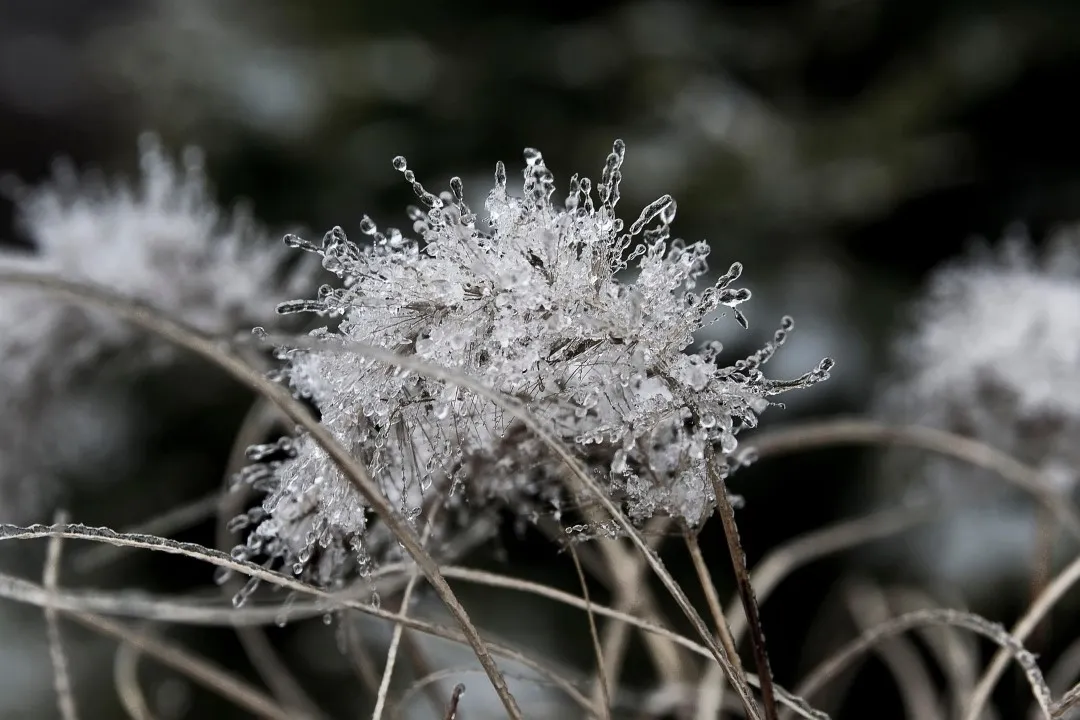 grass 7721260 1920