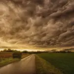 nature 3102762 1920