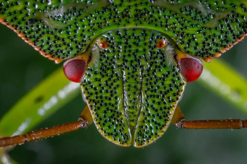 (Updated) Microsoft Teams: Collaborative Notes in Chats [MC1148543]