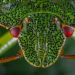 Workers - Access Workers preview URLs from the Build details page 2 pexels ekamelev 1685594