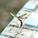 pexels enginakyurt 1438404