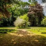 Amazon ECS now publishes container health status as a CloudWatch metric 2 pexels lalesh 147640