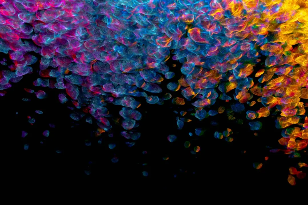 Amazon EC2 C7i instances are now available in the Asia Pacific (Melbourne) Region 29 pexels merlin 10874578