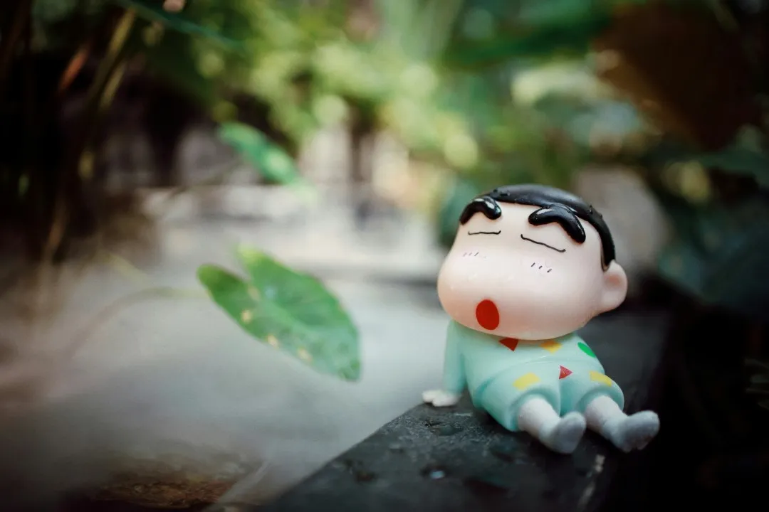 pexels nguy n ti n th nh 2150376175 31769331