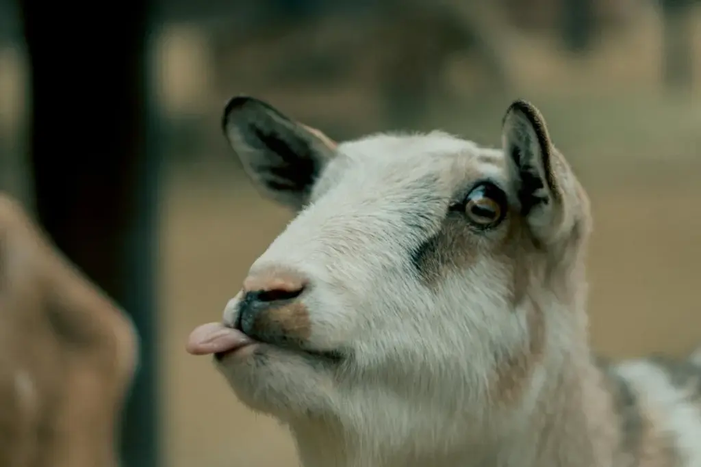 Workers - Workers Preview URL default behavior now matches your workers.dev setting 38 Workers – Workers Preview URL default behavior now matches your workers.dev setting