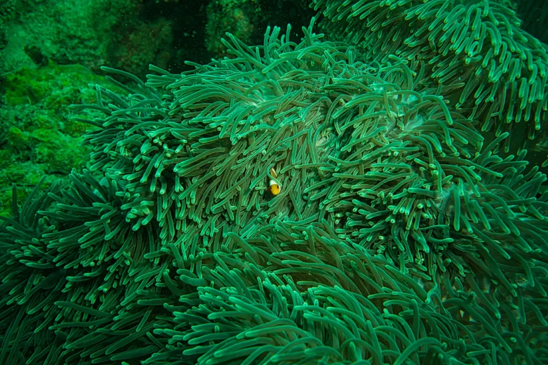 pexels tomfisk 3482724