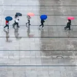 rain 7995866 1920