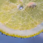 slice of lemon 2135548 1920
