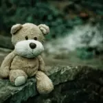 teddy bear 1835598 1920
