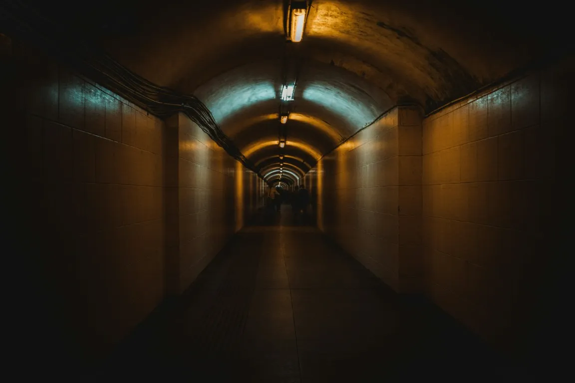 pexels 342802724 14075168 Medium